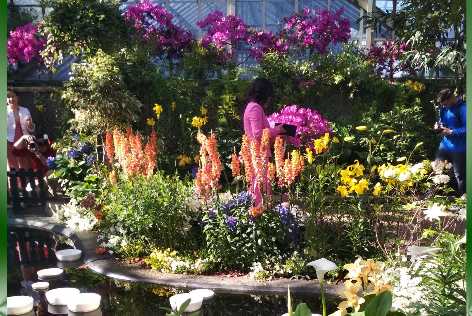 Concerto di Primavera
